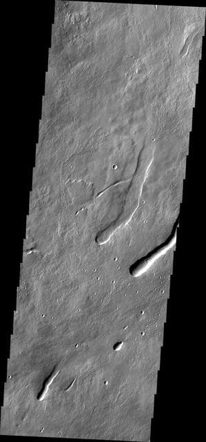 NASA image: Arsia Mons