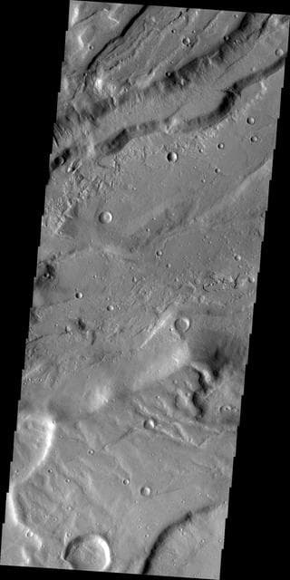 NASA image: Tempe Terra