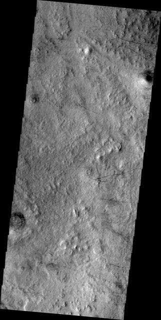 NASA image: Dust Devil Tracks