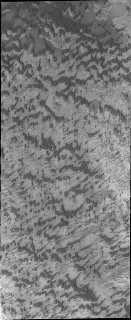 NASA image: North Polar Dunes