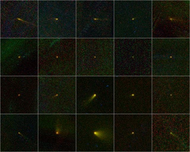 NASA image: Comets WISE -- A Family Portrait