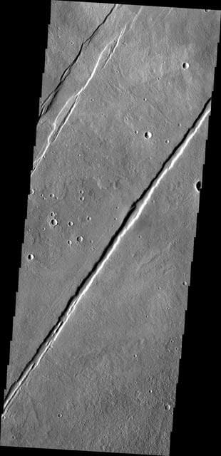 NASA image: Alba Mons Tectonics