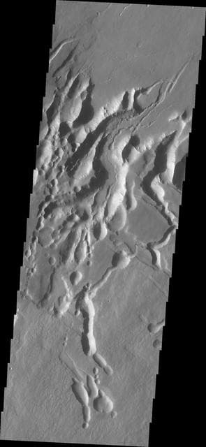 NASA image: Arsia Chasmata