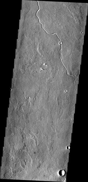 NASA image: Elysium Planitia