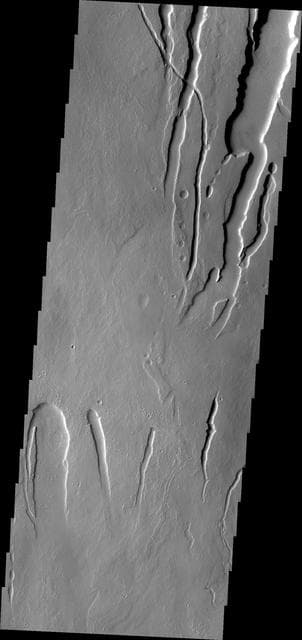 NASA image: Ascraeus Mons