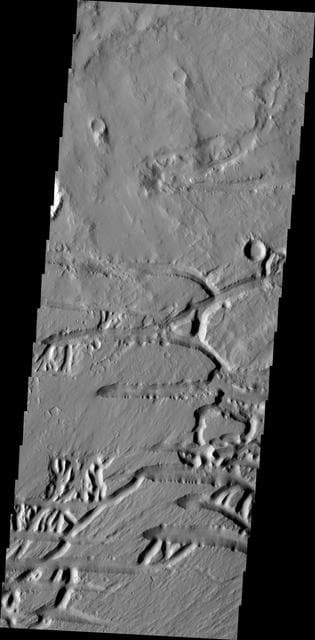 NASA image: Kasei Valles