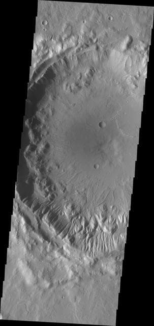 NASA image: Gullies in Tempe Terra