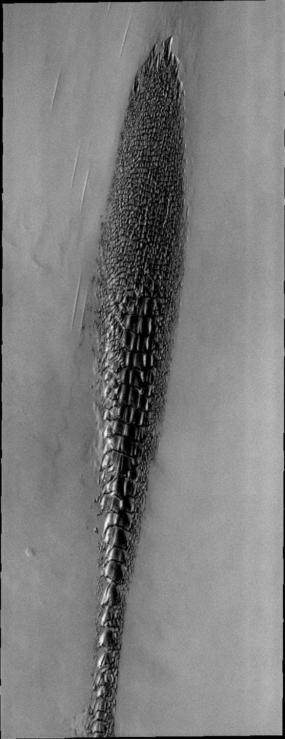 NASA image: Mars Odyssey All Stars: Reptilian Dunes