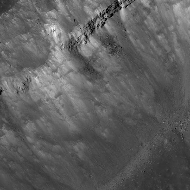 NASA image: Kepler Rim
