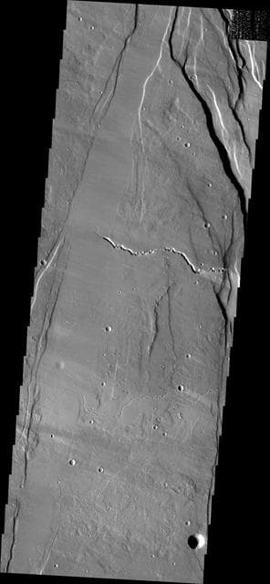 NASA image: Ceraunius Fossae