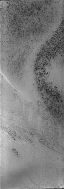 NASA image: South Polar Spots