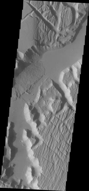 NASA image: Kasei Valles