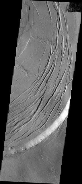 NASA image: Olympus Mons