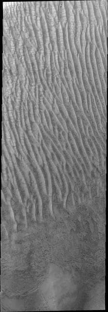 NASA image: Richardson Crater Dunes