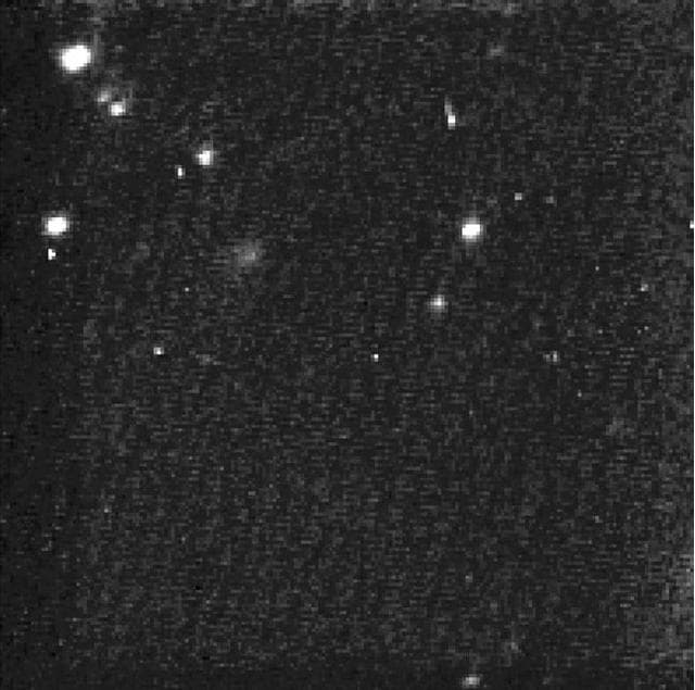 NASA image: NASA Comet Hunter Spots its Valentine