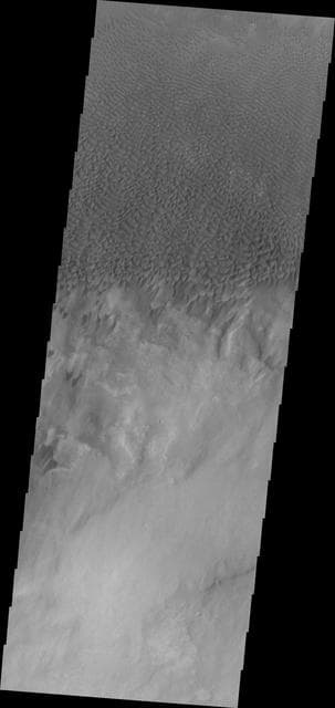 NASA image: Dunes in Aonia Terra