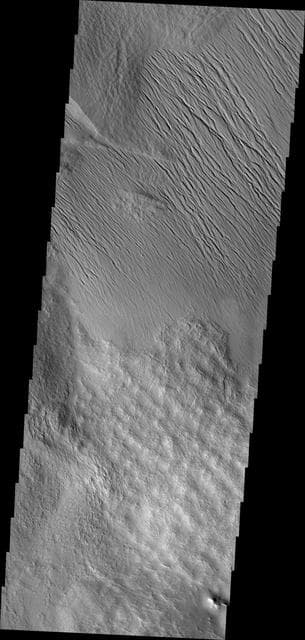 NASA image: Tharsis Features