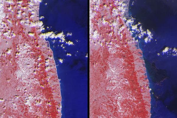 NASA image: NASA MISR Images Tsunami Inundation Along Japan Eastern Coast
