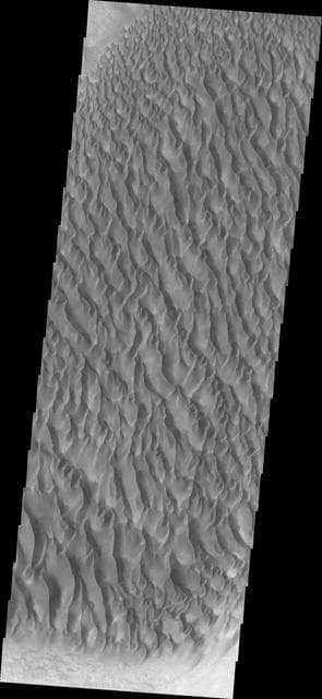 NASA image: Proctor Crater Dunes