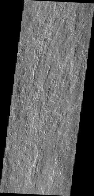 NASA image: Olympus Mons Flows