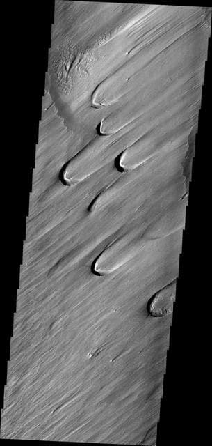 NASA image: Wind Texture