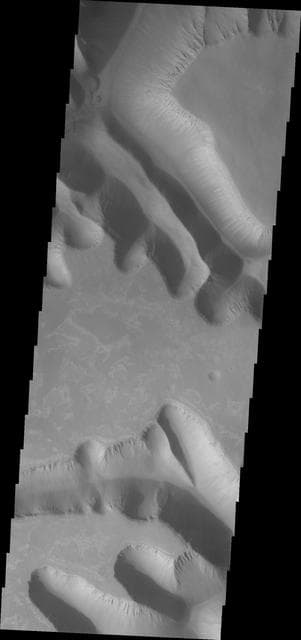 NASA image: Ius Chasma Mega Gullies