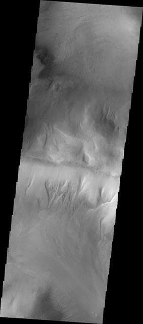NASA image: Gullies in Argyre Planitia
