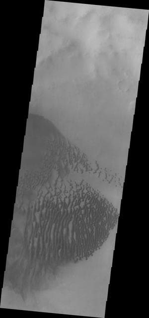 NASA image: Lamont Crater Dunes