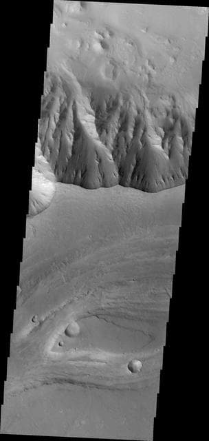 NASA image: Elator Vallis