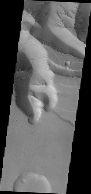 NASA image: Gullies in Ius Chasma
