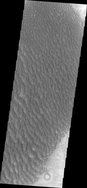 NASA image: Proctor Crater Dunes