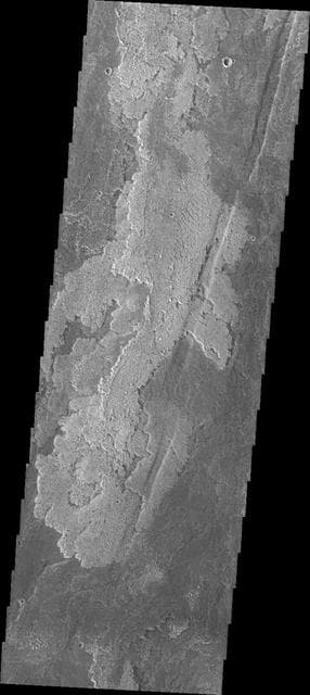 NASA image: Daedalia Planum