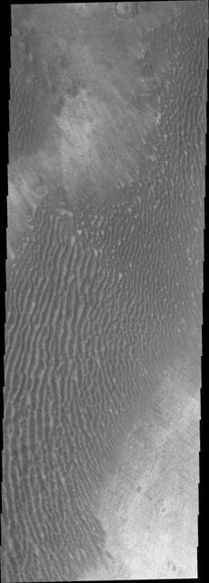 Dunes in Terra Cimmeri