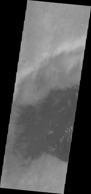 NASA image: Dunes in Sisyphi Planum