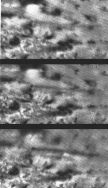NASA image: Triton Volcanic Plumes