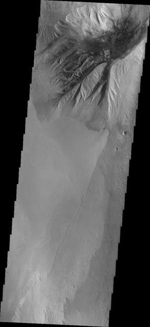 NASA image: Beatis Mensa