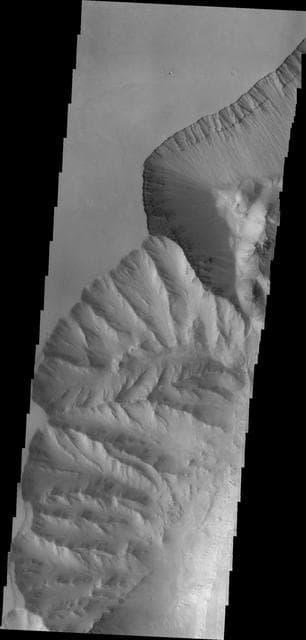 NASA image: Ophir Chasma