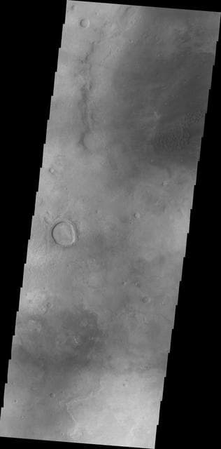 NASA image: Hellas Dunes