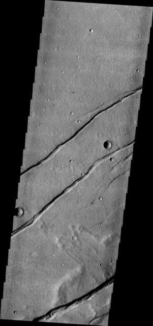 NASA image: Sirenum Fossae