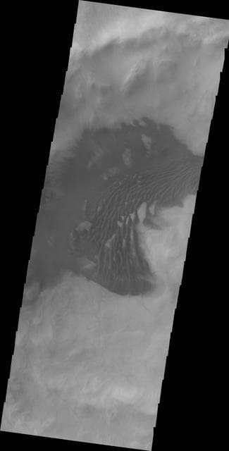 NASA image: Dunes in Sisyphi Planum