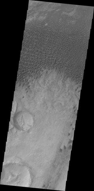 NASA image: Dunes in Aonia Planum