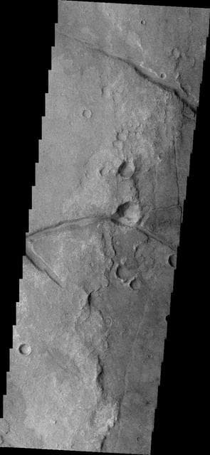 NASA image: Margaritifer Terra
