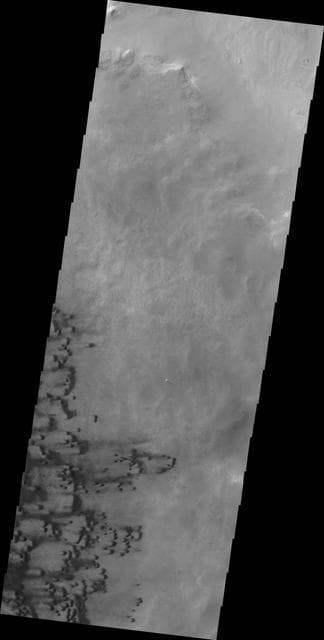 NASA image: Darwin Crater Dunes