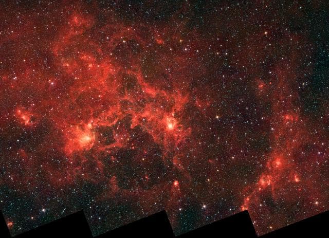 NASA image: Dragonfish Coming At You in Infrared