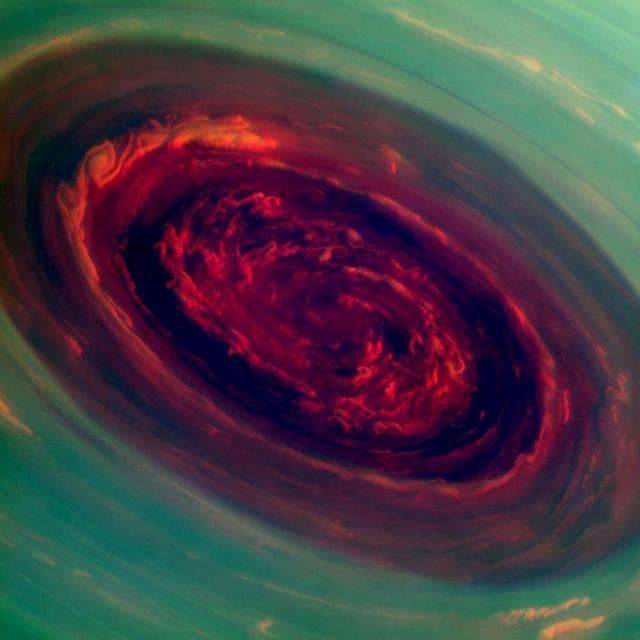 NASA image: The Rose