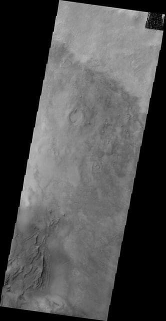 NASA image: Darwin Crater Dunes