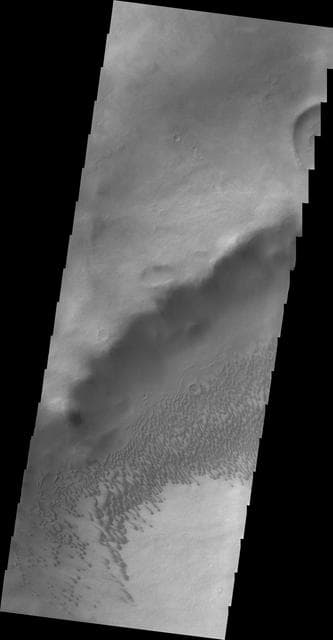 NASA image: Brashear Crater Dunes