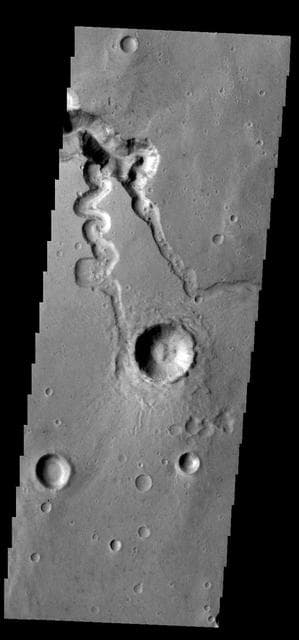 NASA image: Shalbatana Vallis