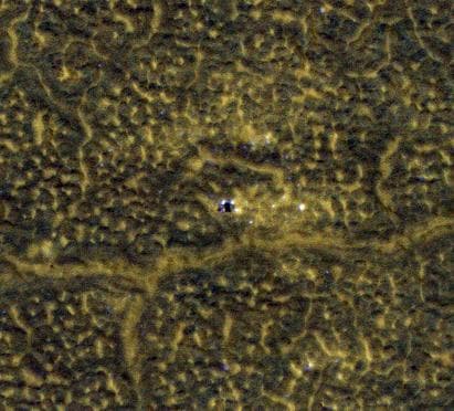 NASA image: Phoenix Lander After Second Martian Winter