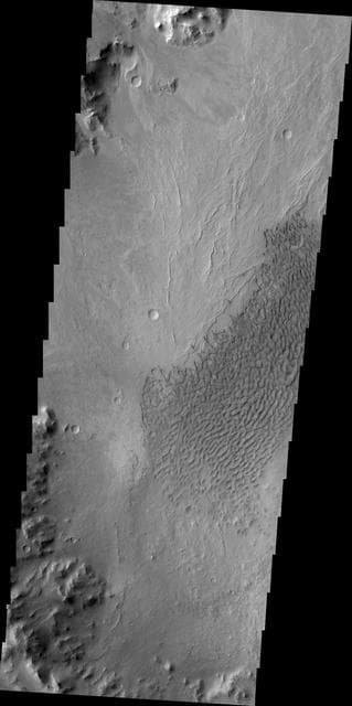 NASA image: Dunes of Arabia Terra